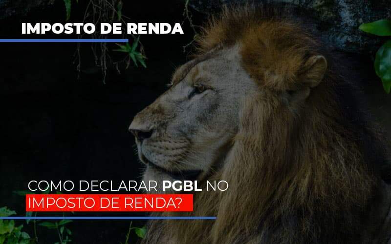 Ir2020:como Declarar Pgbl No Imposto De Renda Notícias E Artigos Contábeis - JCC Assessoria Contábil